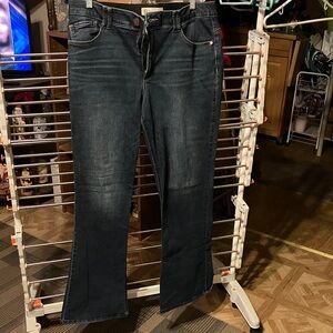 Democracy Dark Indigo Flare Jeans